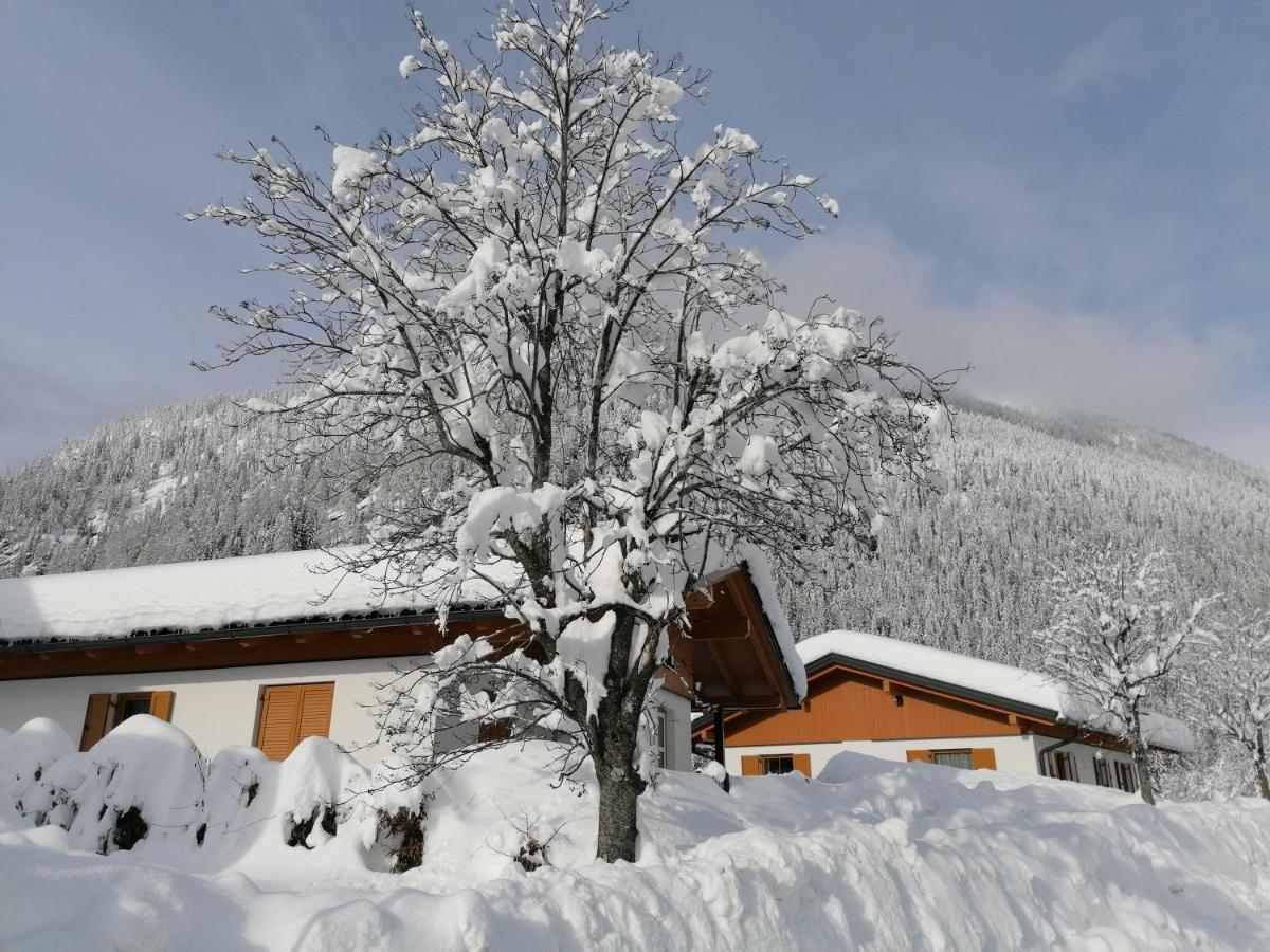 Bergaufe Chalets Mallnitz " Cards Inclusive" Dış mekan fotoğraf