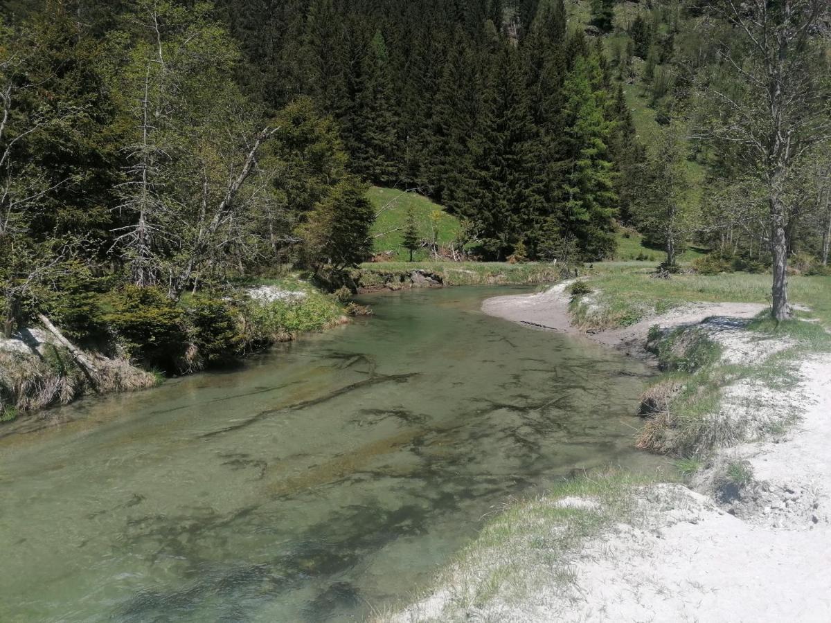 Bergaufe Chalets Mallnitz " Cards Inclusive" Dış mekan fotoğraf