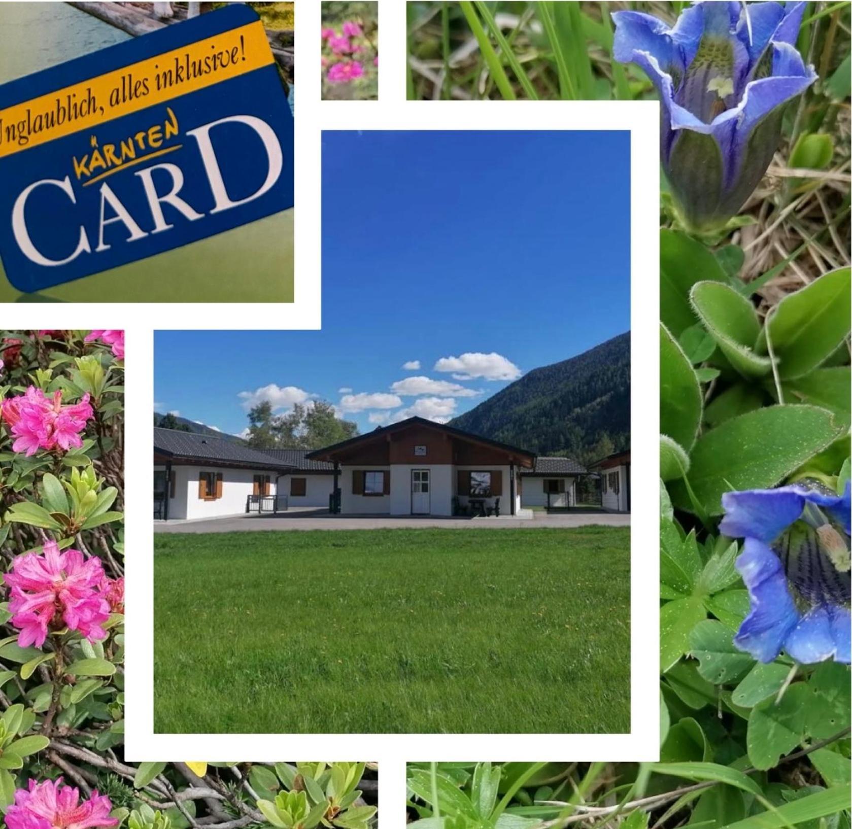 Bergaufe Chalets Mallnitz " Cards Inclusive" Dış mekan fotoğraf