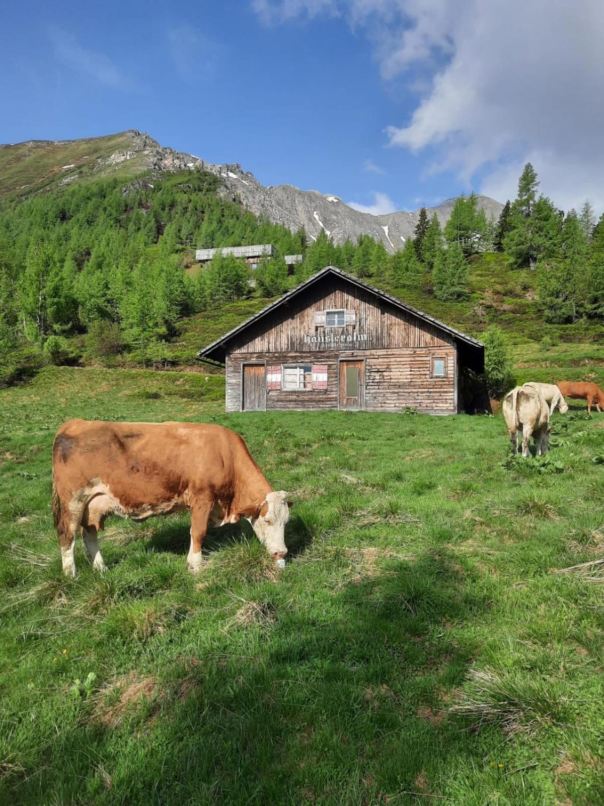 Bergaufe Chalets Mallnitz " Cards Inclusive" Dış mekan fotoğraf